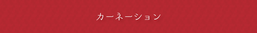 カーネーション