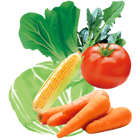 1/3日分の野菜ヌードル具材