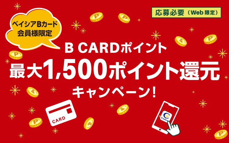 ベイシア大平モール店 店舗 チラシ ベイシア ベイシア大平モール店 店舗 チラシ ベイシア