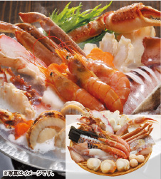 〈カネコメ田中水産〉 かにちり鍋セット 4564