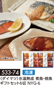 〈ダイマツ〉氷温熟成 煮魚・焼魚 ギフトセット6切 NYG-6