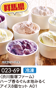 〈渋川飯塚ファーム〉ハーブ香るぐんま地みるくアイス8個セット A01