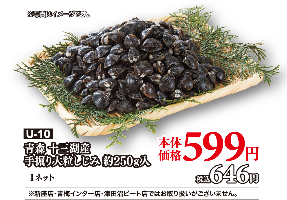 U-10 青森 十三湖産 手掘り大粒しじみ 約250ｇ入 1ネット 本体価格599円 税込646円 ※新座店・青梅インター店・津田沼ビート店ではお取り扱いがございません。