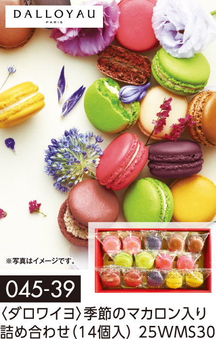 〈ダロワイヨ〉季節のマカロン入り 詰め合わせ(14個入) 25WMS30