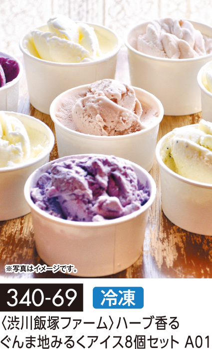 〈渋川飯塚ファーム〉ハーブ香るぐんま地みるくアイス8個セット A01