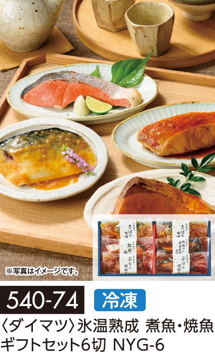 〈ダイマツ〉氷温熟成 煮魚・焼魚 ギフトセット6切 NYG-6