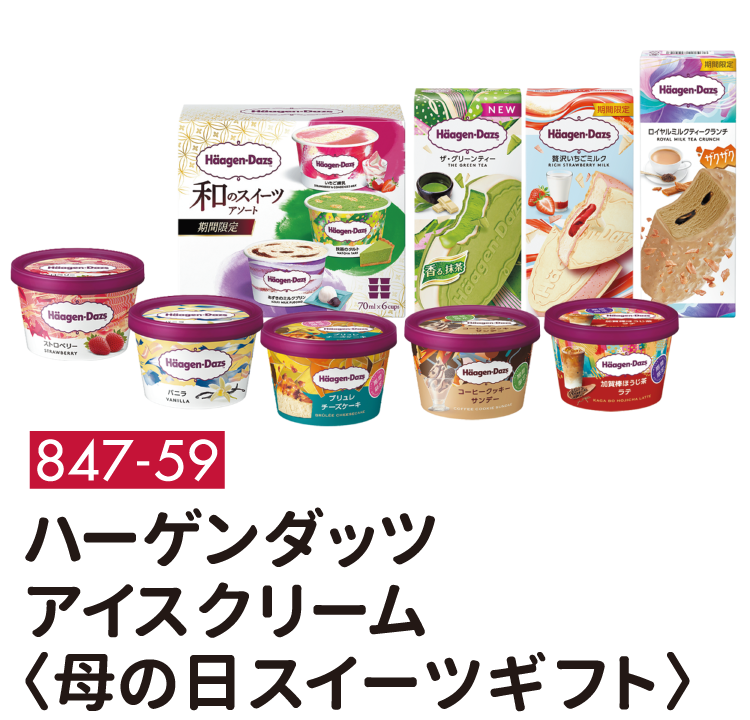 847-59 ハーゲンダッツ アイスクリーム〈母の日 スイーツギフト〉