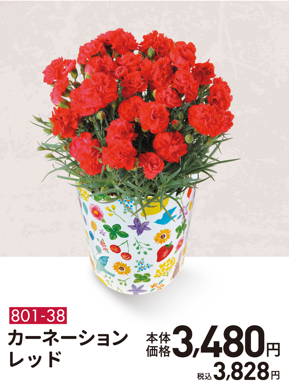801-38 カーネーション レッド 