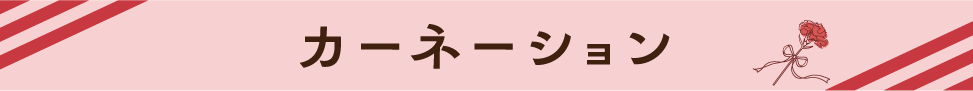 カーネーション