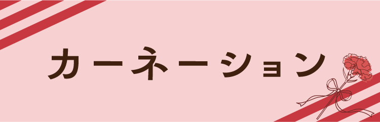 カーネーション