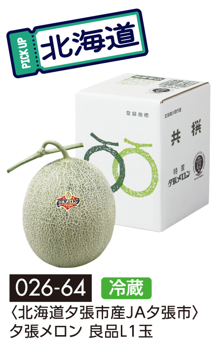 〈北海道夕張市産JA夕張市〉夕張メロン 良品L1玉